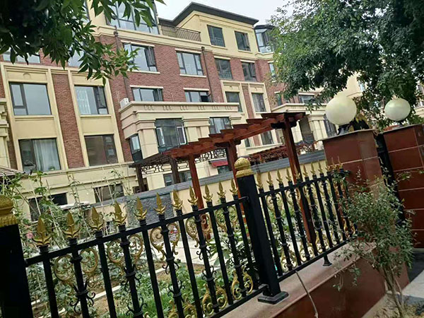 魯商中心單臂葡萄架